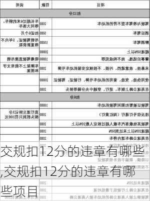 交规扣12分的违章有哪些,交规扣12分的违章有哪些项目