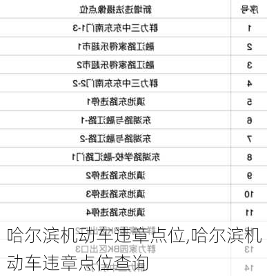 哈尔滨机动车违章点位,哈尔滨机动车违章点位查询