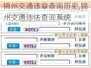 锦州交通违章查询历史,锦州交通违法查询系统