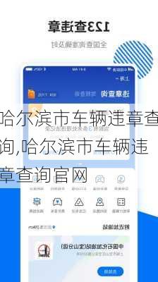 哈尔滨市车辆违章查询,哈尔滨市车辆违章查询官网