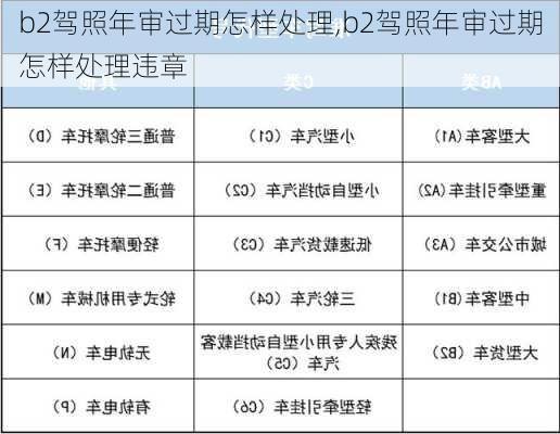 b2驾照年审过期怎样处理,b2驾照年审过期怎样处理违章