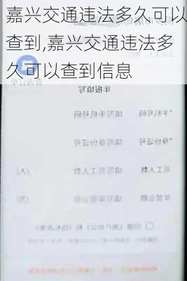 嘉兴交通违法多久可以查到,嘉兴交通违法多久可以查到信息