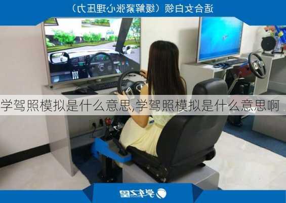 学驾照模拟是什么意思,学驾照模拟是什么意思啊