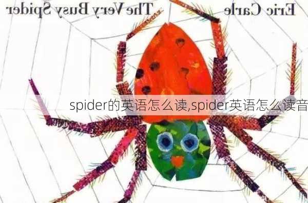 spider的英语怎么读,spider英语怎么读音