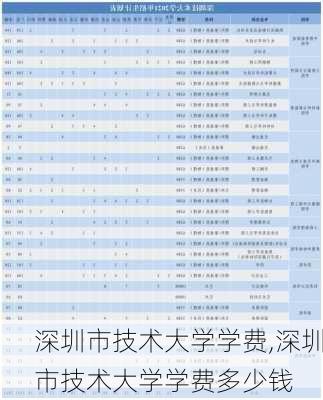 深圳市技术大学学费,深圳市技术大学学费多少钱