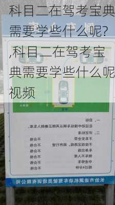 科目二在驾考宝典需要学些什么呢?,科目二在驾考宝典需要学些什么呢视频