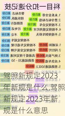 驾照新规定2023年新规是什么,驾照新规定2023年新规是什么意思