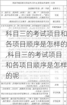 科目三的考试项目和各项目顺序是怎样的,科目三的考试项目和各项目顺序是怎样的呢