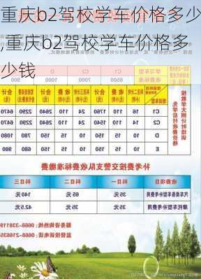 重庆b2驾校学车价格多少,重庆b2驾校学车价格多少钱