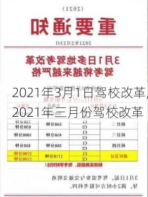 2021年3月1日驾校改革,2021年三月份驾校改革