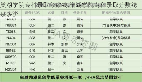 巢湖学院专科录取分数线,巢湖学院专科录取分数线是多少