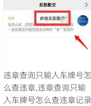 违章查询只输入车牌号怎么查违章,违章查询只输入车牌号怎么查违章记录