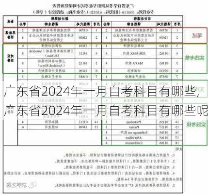 广东省2024年一月自考科目有哪些,广东省2024年一月自考科目有哪些呢