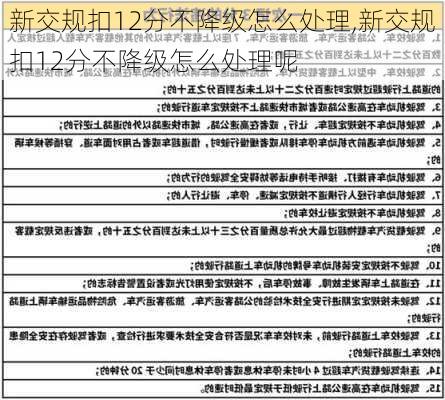 新交规扣12分不降级怎么处理,新交规扣12分不降级怎么处理呢