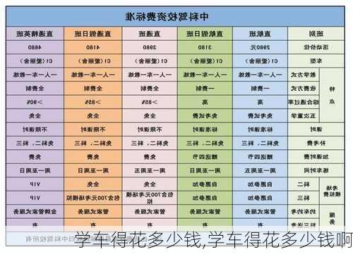 学车得花多少钱,学车得花多少钱啊