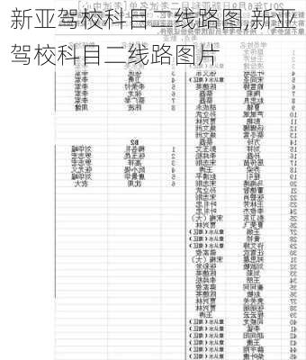 新亚驾校科目二线路图,新亚驾校科目二线路图片