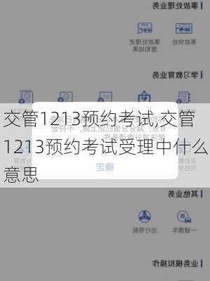 交管1213预约考试,交管1213预约考试受理中什么意思