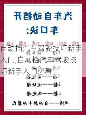 自动挡汽车驾驶技巧新手入门,自动挡汽车驾驶技巧新手入门必看