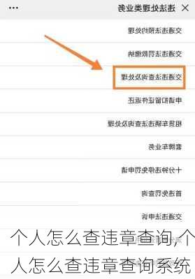 个人怎么查违章查询,个人怎么查违章查询系统