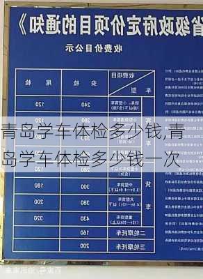 青岛学车体检多少钱,青岛学车体检多少钱一次