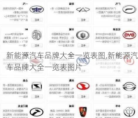 新能源汽车品牌大全一览表图,新能源汽车品牌大全一览表图片