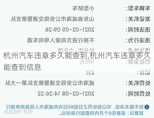 杭州汽车违章多久能查到,杭州汽车违章多久能查到信息