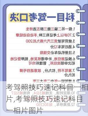 考驾照技巧速记科目一相片,考驾照技巧速记科目一相片图片