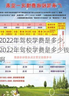 2022年驾校学费是多少,2022年驾校学费是多少钱啊