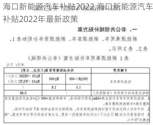 海口新能源汽车补贴2022,海口新能源汽车补贴2022年最新政策