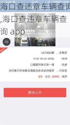 海口查违章车辆查询,海口查违章车辆查询 app