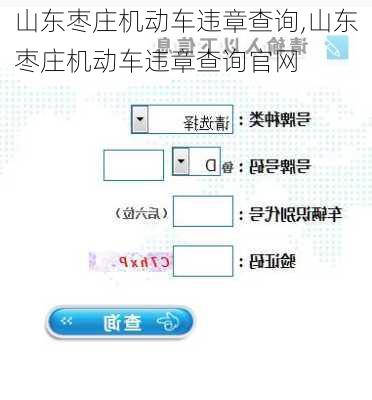 山东枣庄机动车违章查询,山东枣庄机动车违章查询官网