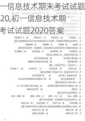 初一信息技术期末考试试题2020,初一信息技术期末考试试题2020答案