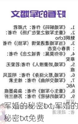 军婚的秘密txt,军婚的秘密txt免费