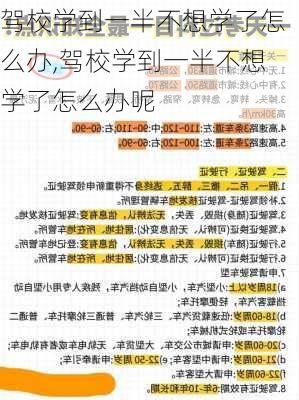 驾校学到一半不想学了怎么办,驾校学到一半不想学了怎么办呢