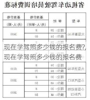 现在学驾照多少钱的报名费?,现在学驾照多少钱的报名费