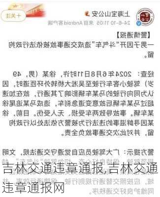 吉林交通违章通报,吉林交通违章通报网