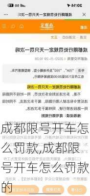 成都限号开车怎么罚款,成都限号开车怎么罚款的