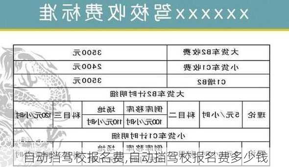 自动挡驾校报名费,自动挡驾校报名费多少钱