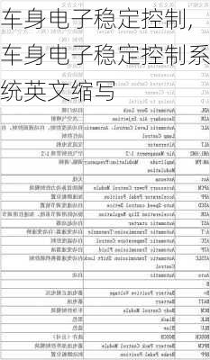 车身电子稳定控制,车身电子稳定控制系统英文缩写