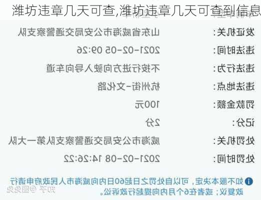 潍坊违章几天可查,潍坊违章几天可查到信息