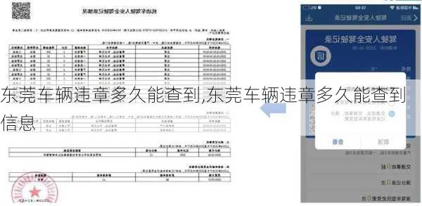 东莞车辆违章多久能查到,东莞车辆违章多久能查到信息