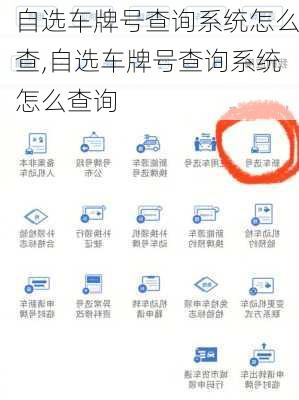 自选车牌号查询系统怎么查,自选车牌号查询系统怎么查询