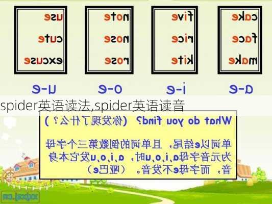 spider英语读法,spider英语读音