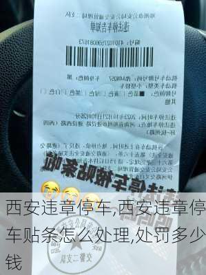 西安违章停车,西安违章停车贴条怎么处理,处罚多少钱