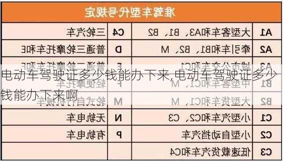 电动车驾驶证多少钱能办下来,电动车驾驶证多少钱能办下来啊