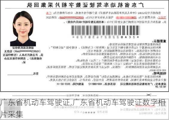 广东省机动车驾驶证,广东省机动车驾驶证数字相片采集