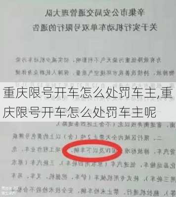 重庆限号开车怎么处罚车主,重庆限号开车怎么处罚车主呢