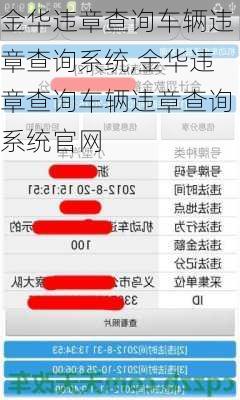 金华违章查询车辆违章查询系统,金华违章查询车辆违章查询系统官网