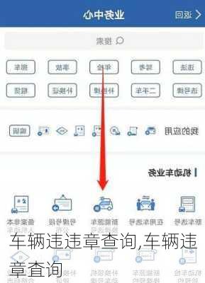 车辆违违章查询,车辆违章査询