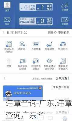 违章查询 广东,违章查询广东省